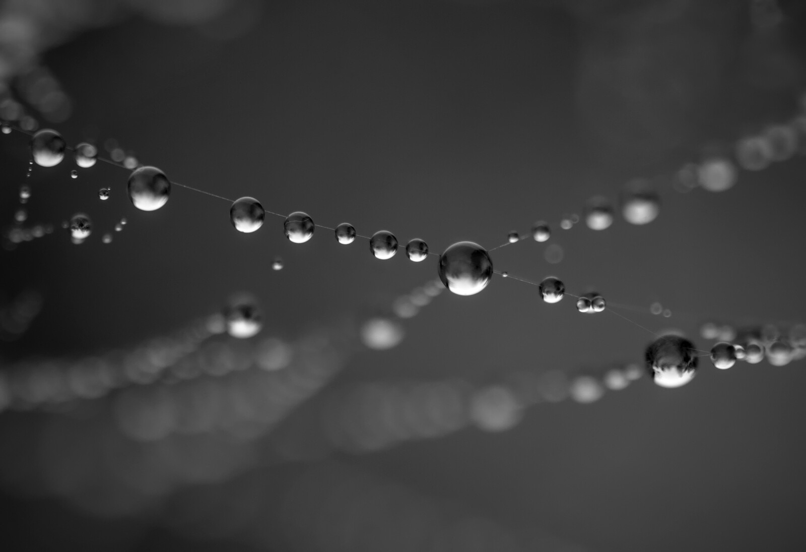 Dew Web
