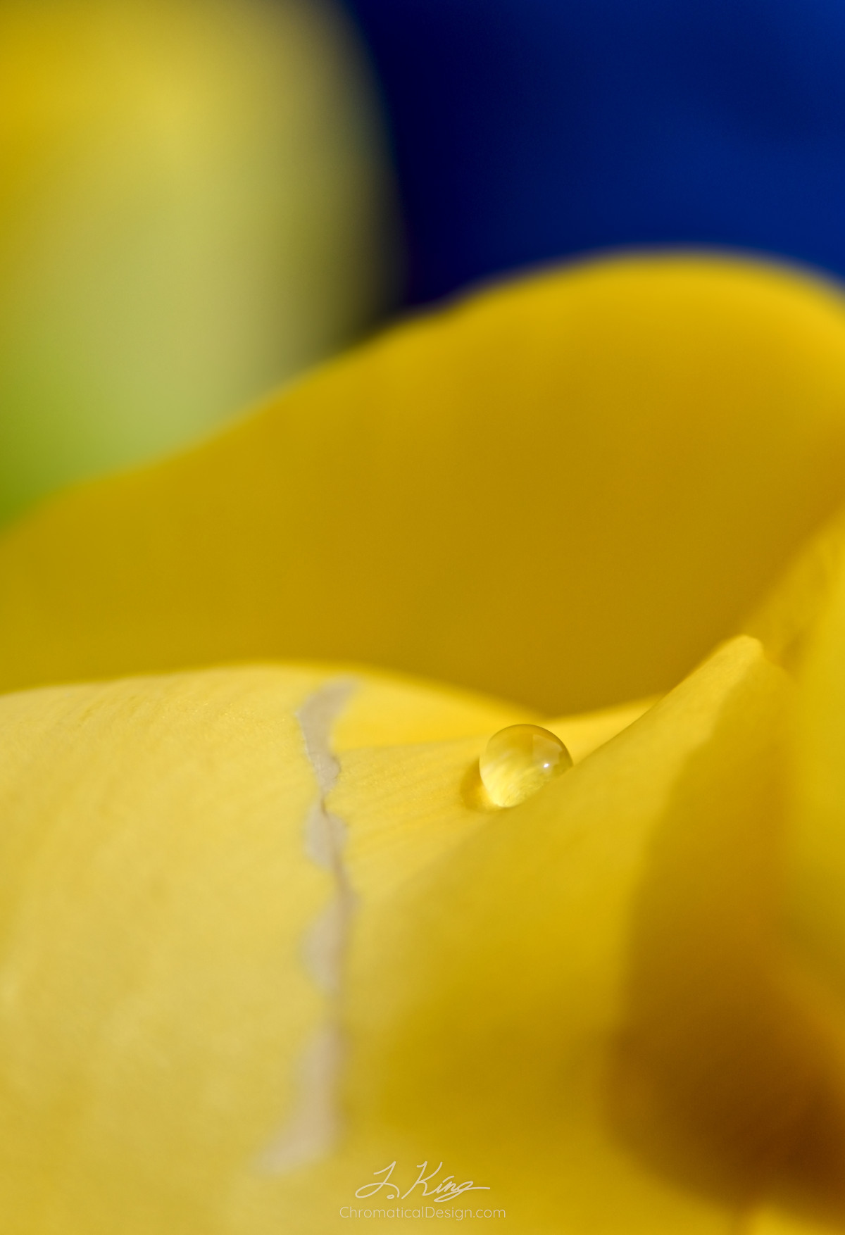 Abstract Macro
