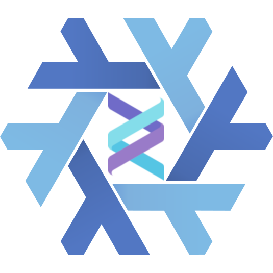 helix and nix logo